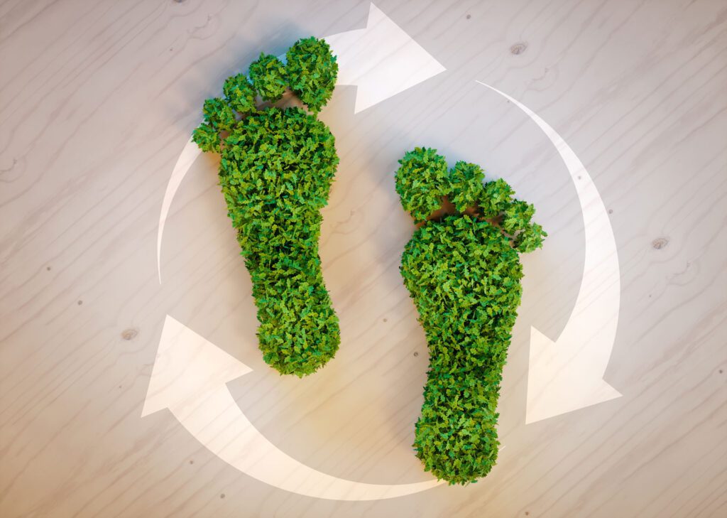 Green grass footprint on the floor