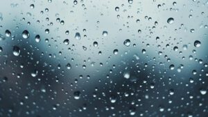 How XPS EPS and Polyiso Insulation Perform Against Moisture