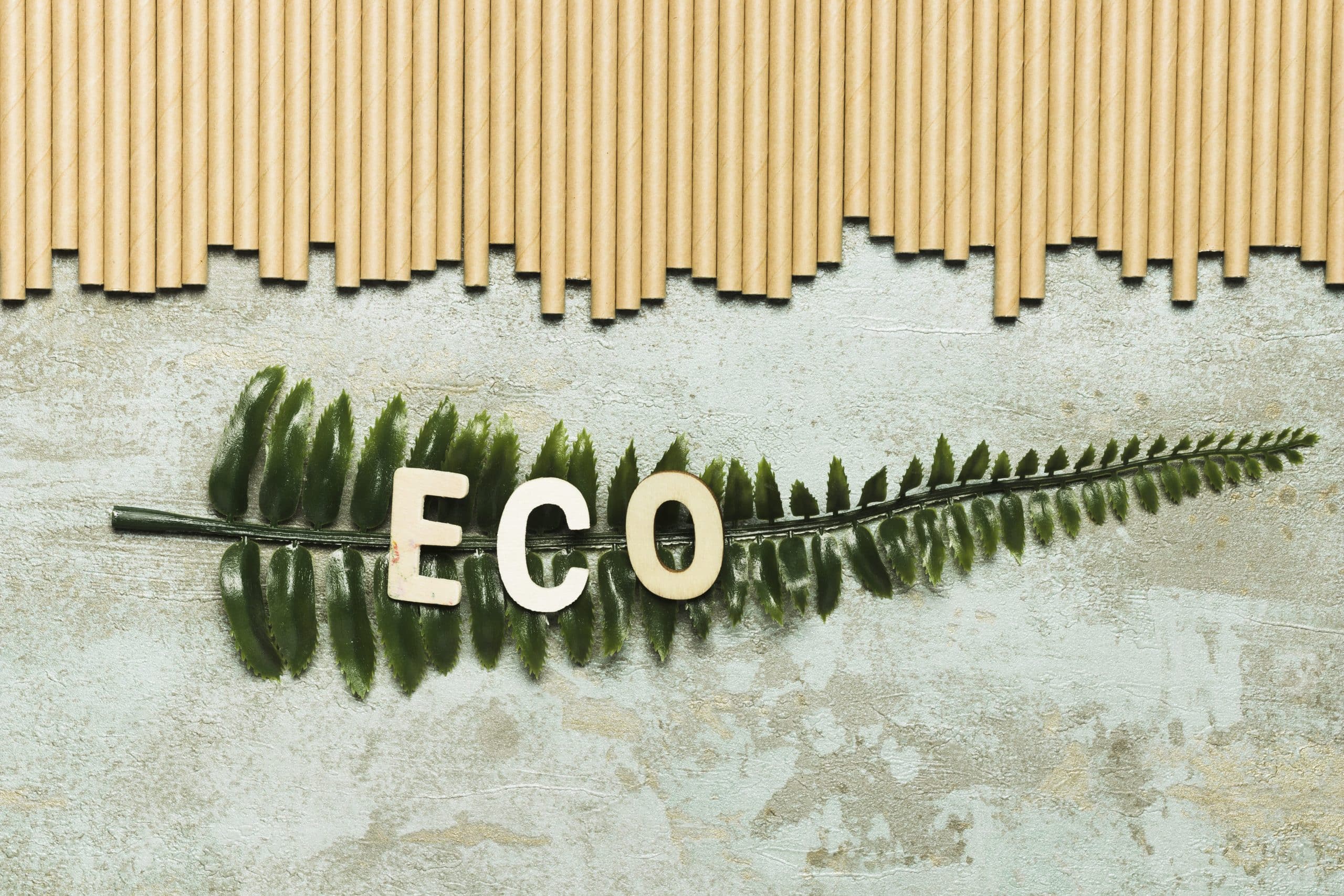 Building a Circular Economy in Construction: How Insulation Recycling Contributes to a Sustainable Future