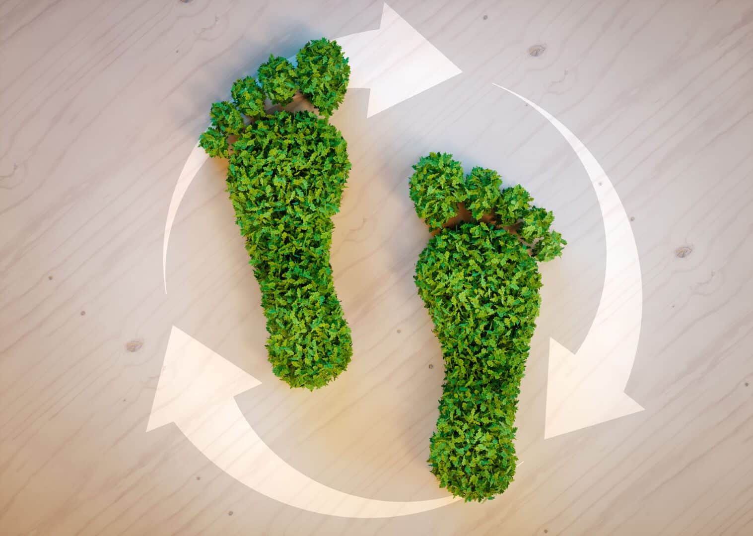 How to Reduce Your Carbon Footprint