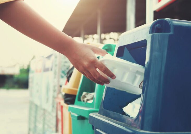A hand holding a plastic container